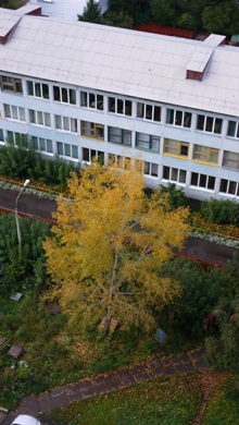 P1020560.JPG
