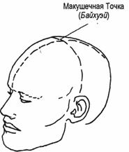 glosio206.jpg