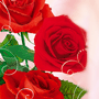 1175162118_38293.gif