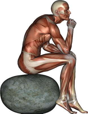 19a.jpg
