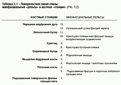 Resize of таблица задн.линии.gif