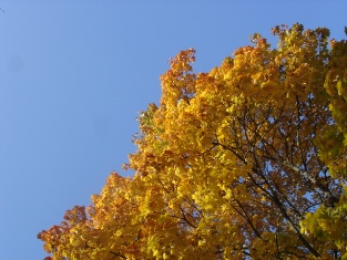 небо как небо.jpg