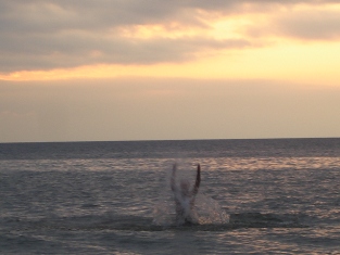 ...жаль, до вас не долетают брызги....jpg