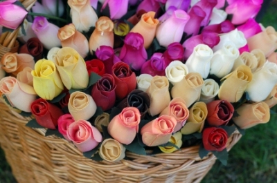 roses-1.jpg