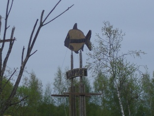 1.Карпине - огромный КАРП, плывущий по нему, поневоле заставит задуматься о необходимостиполучения  срочного спа-масссажа .jpg