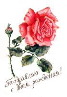 tn_gallery_2_2_21206.jpg