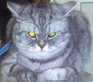 PICT0041.JPG