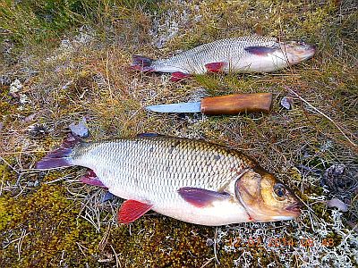 DSCN2096.jpg