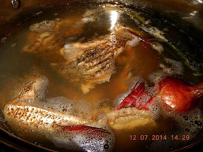 DSCN2175.jpg