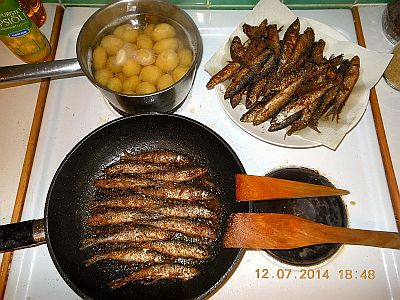 DSCN2192.jpg