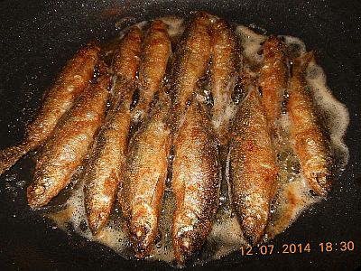 DSCN2188.jpg