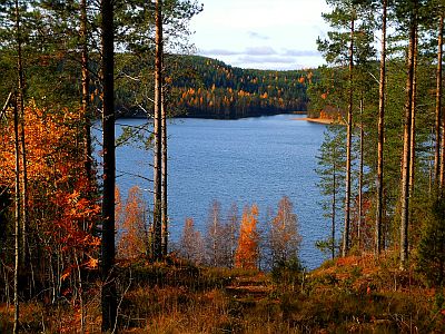 DSCN1807.jpg