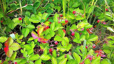20150702_151436.jpg