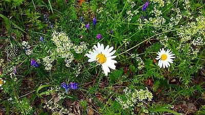 20150702_151418.jpg