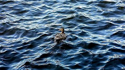 20150703_115346.jpg