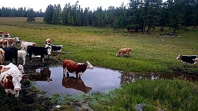 IMG-20170826.jpg