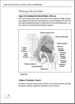 p82.jpg