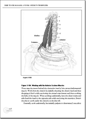 p128.jpg