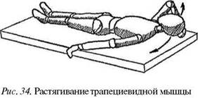 Болит мышца шеи поднимающая лопатку