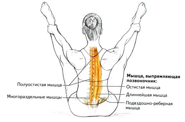 Лечение остеохондроза поясничного отдела позвоночника