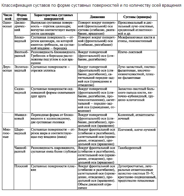 Строение Суставов Человека Фото С Описанием