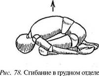 Как снять блок в грудном отделе позвоночника самому