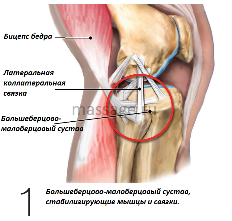 Лигаментита связок коленного