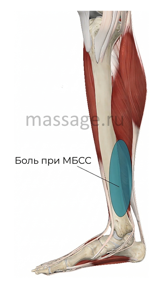 SP_26_ClinicalExplorations2_800