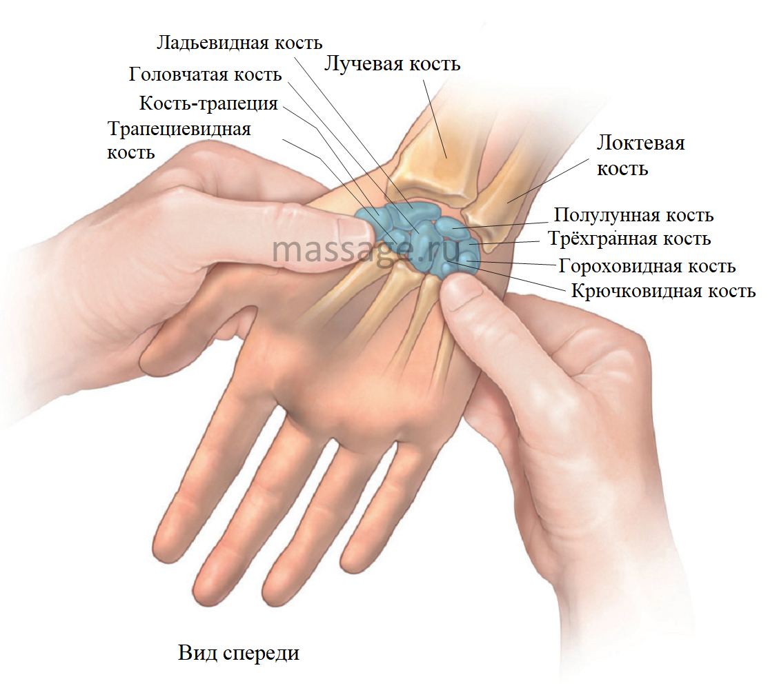 Болит запястье при надавливании. Туннельный синдром лучезапястного сустава. Синдром карпального канала блокада. Ладьевидная кость запястье. Блокада при синдроме запястного канала.