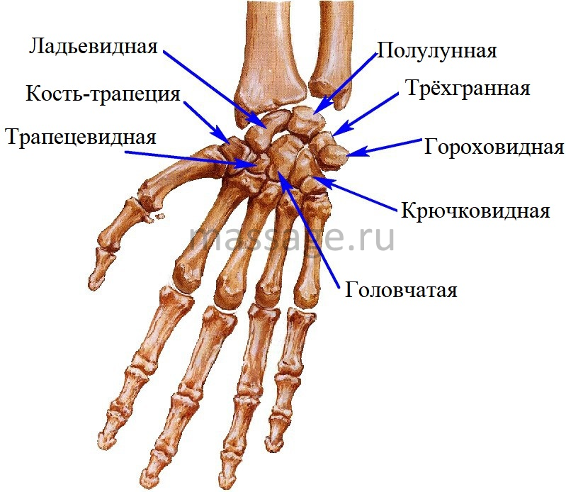 Мануальная терапия при запястном синдроме